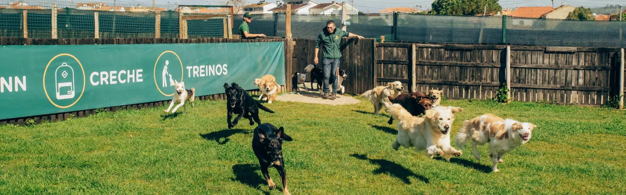 Foto da galeria de Creche - Escola e Hotel para Cães