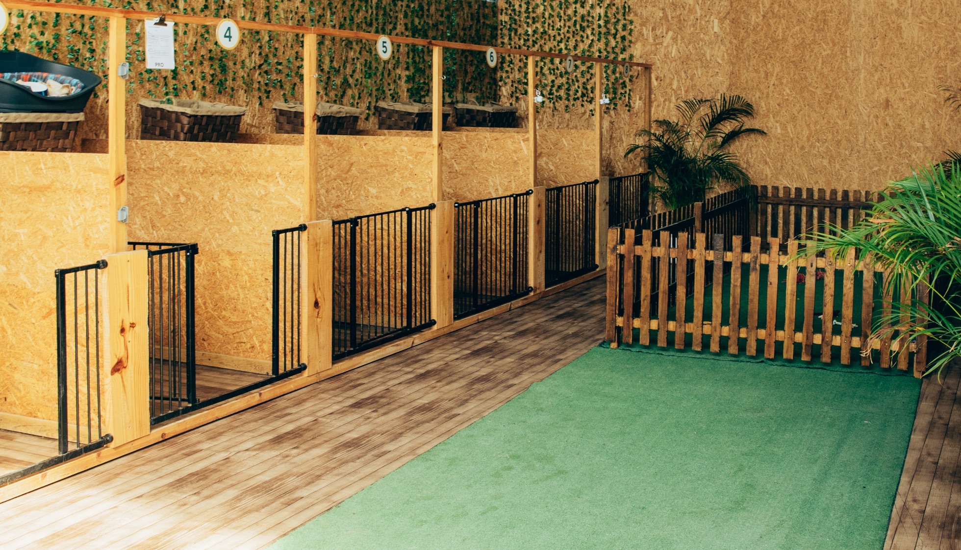 Hotel para cães