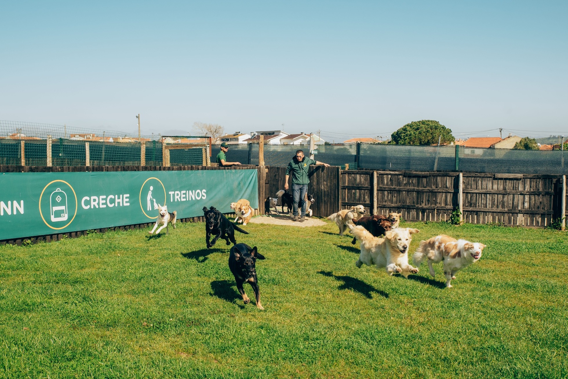 Creche Canina