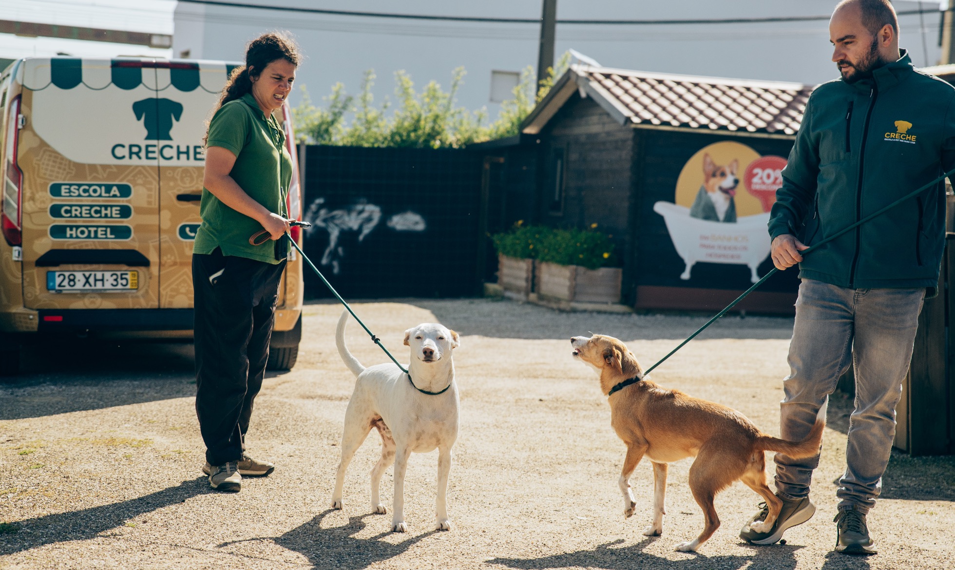 Onde Deixar o Cão nas Férias: o Que a Ciência Diz Sobre o Hotel para Cães